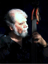 Load image into Gallery viewer, The Chicago Music Scene: 1960s and 1970s  by Dean Milano